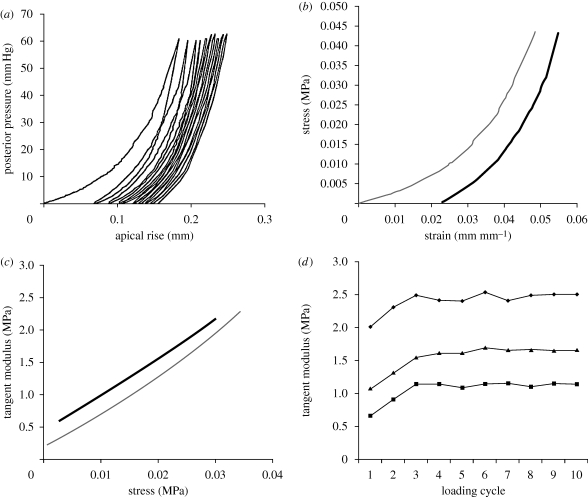 Figure 2.