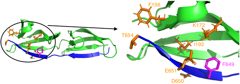 Figure 6: