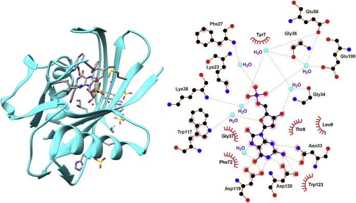 Figure 2