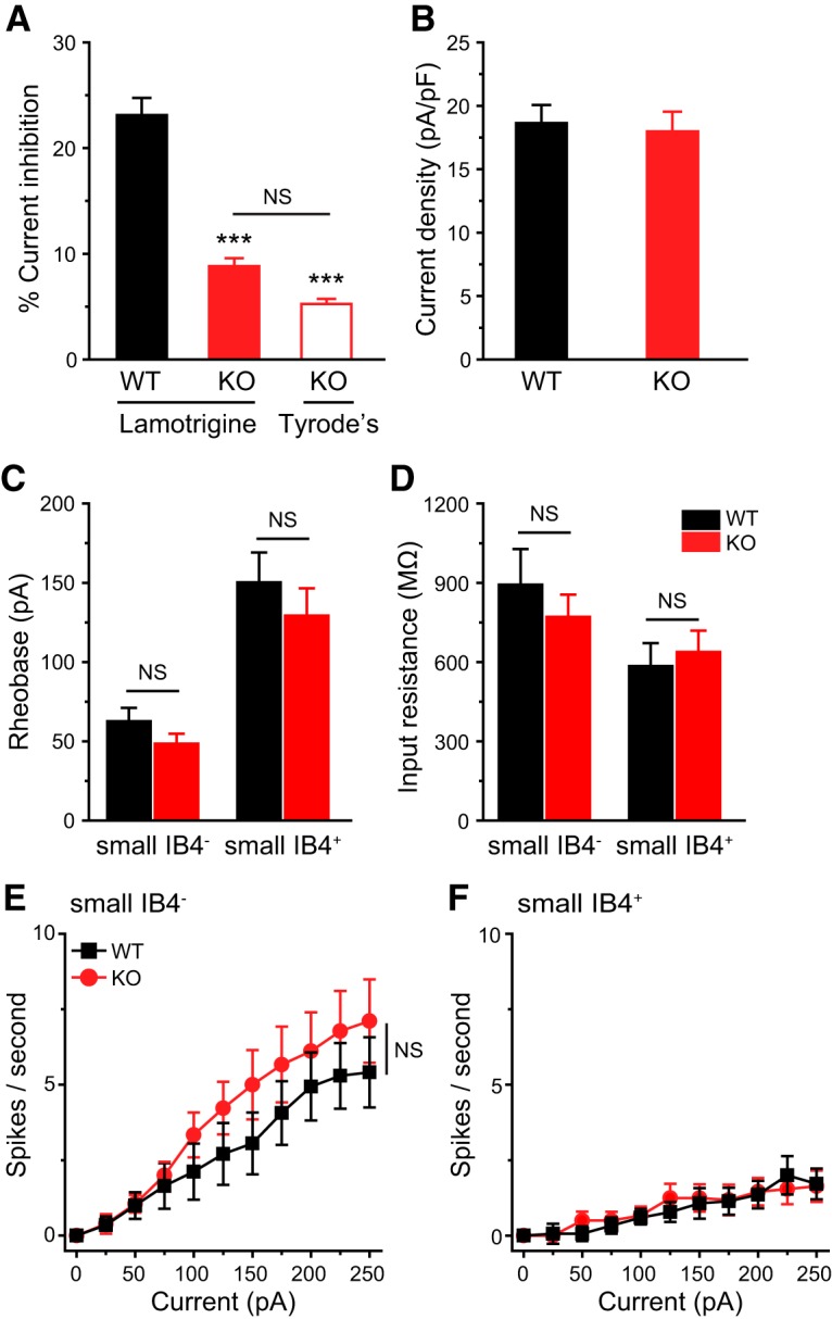 Figure 10.