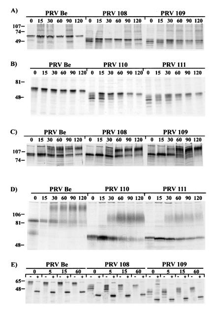 FIG. 5