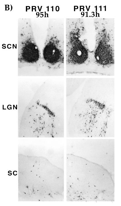 FIG. 6