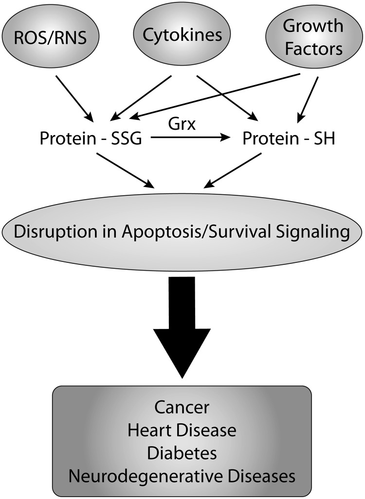 FIG. 7.