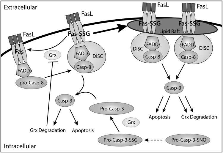 FIG. 5.