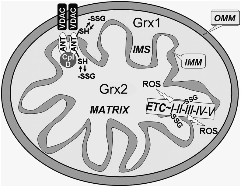 FIG. 6.