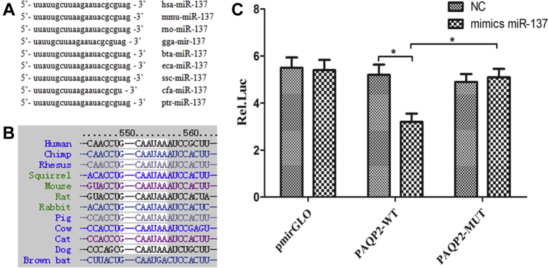 Figure 4