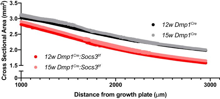 Figure 3—figure supplement 1.