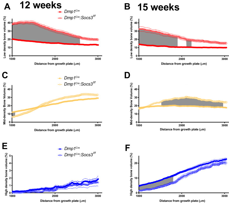 Figure 3—figure supplement 2.