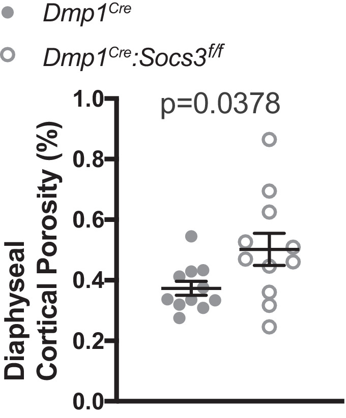 Figure 1—figure supplement 1.