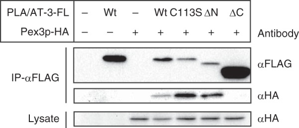 FIGURE 10.