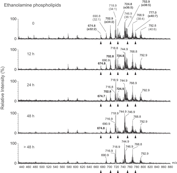 FIGURE 3.