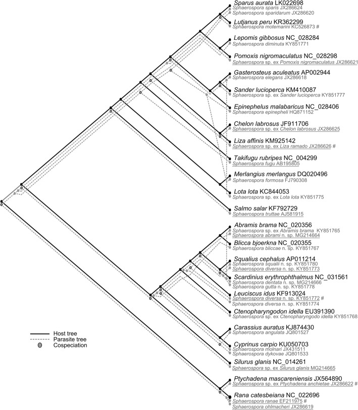 Fig. 5