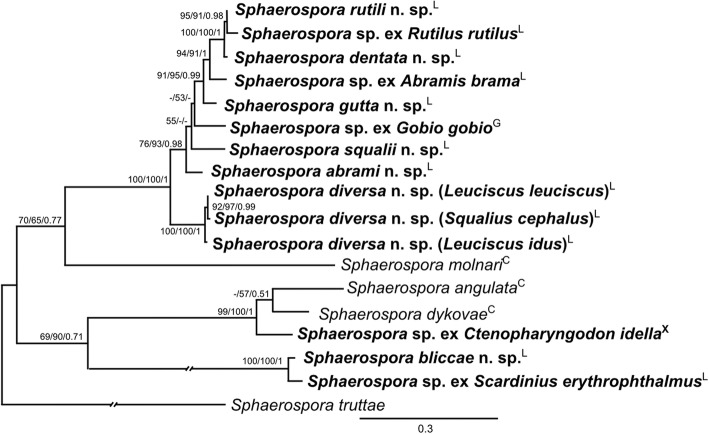 Fig. 4