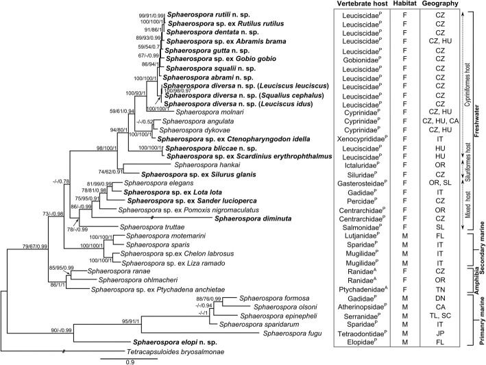 Fig. 3