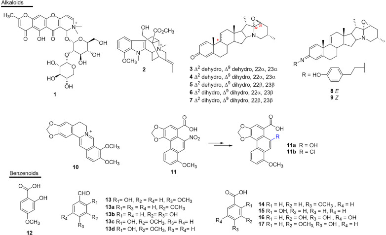 Figure 4