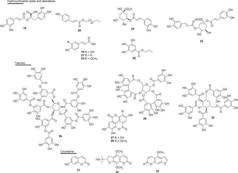 Figure 5