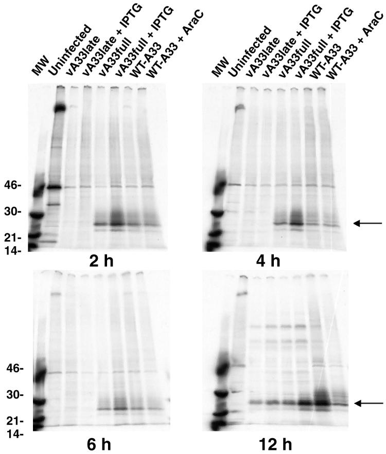 FIG. 3