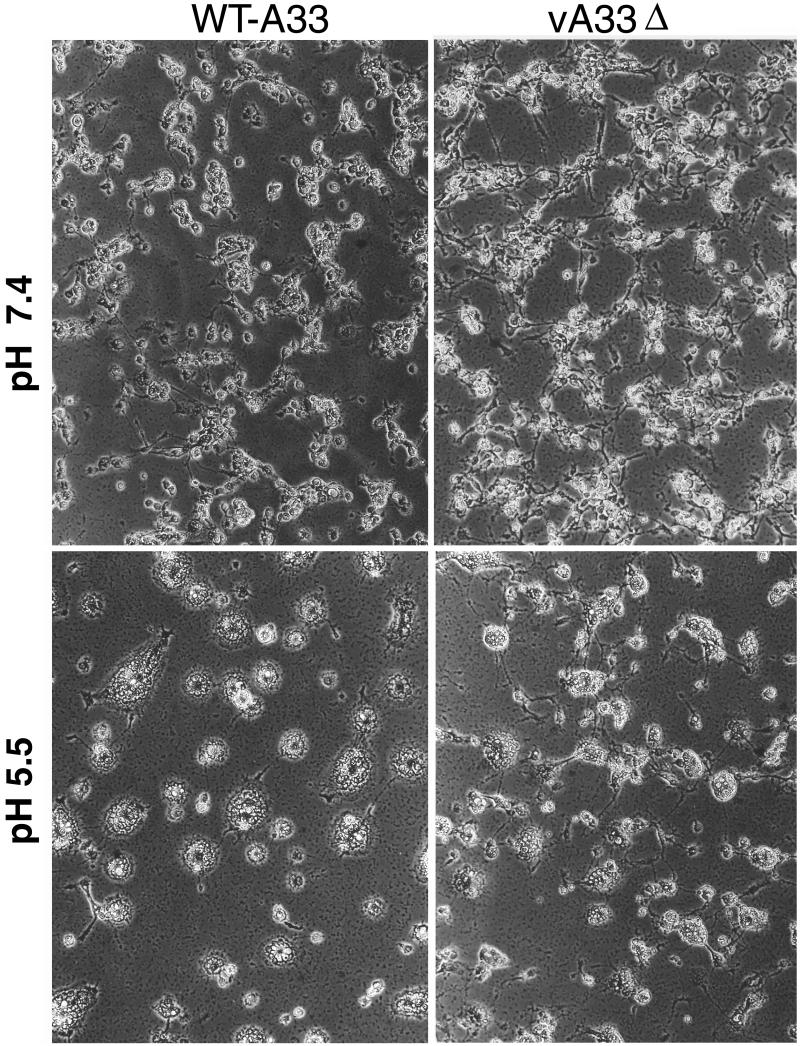 FIG. 7