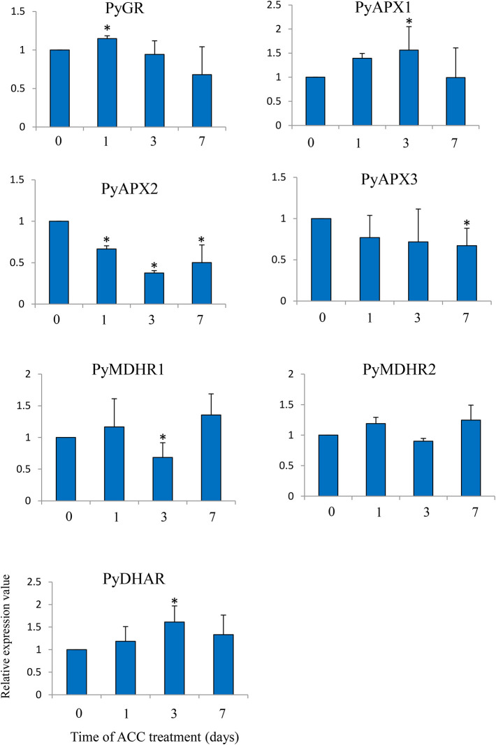 Figure 7