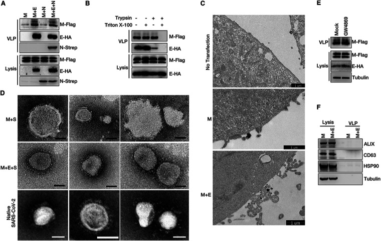 FIG 1