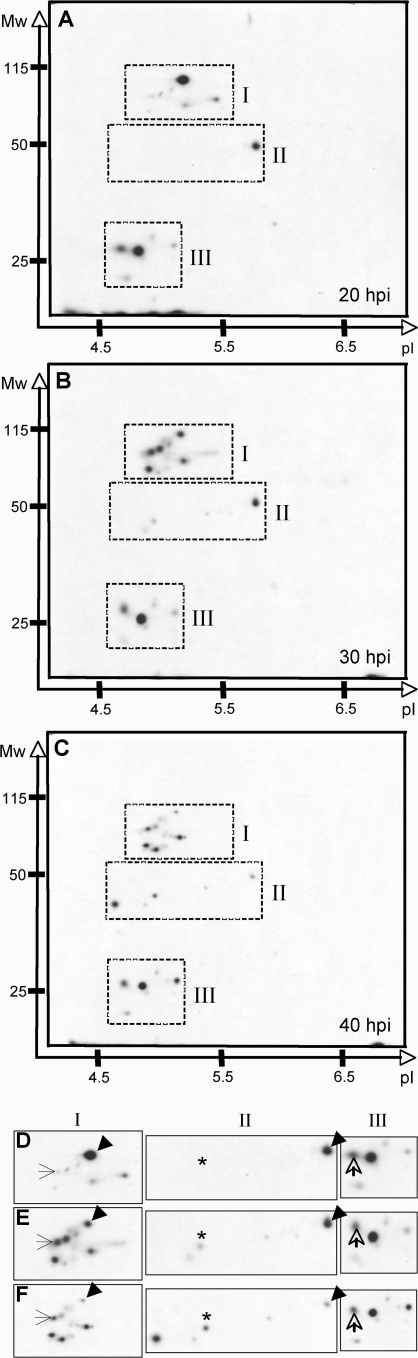 FIG. 5.