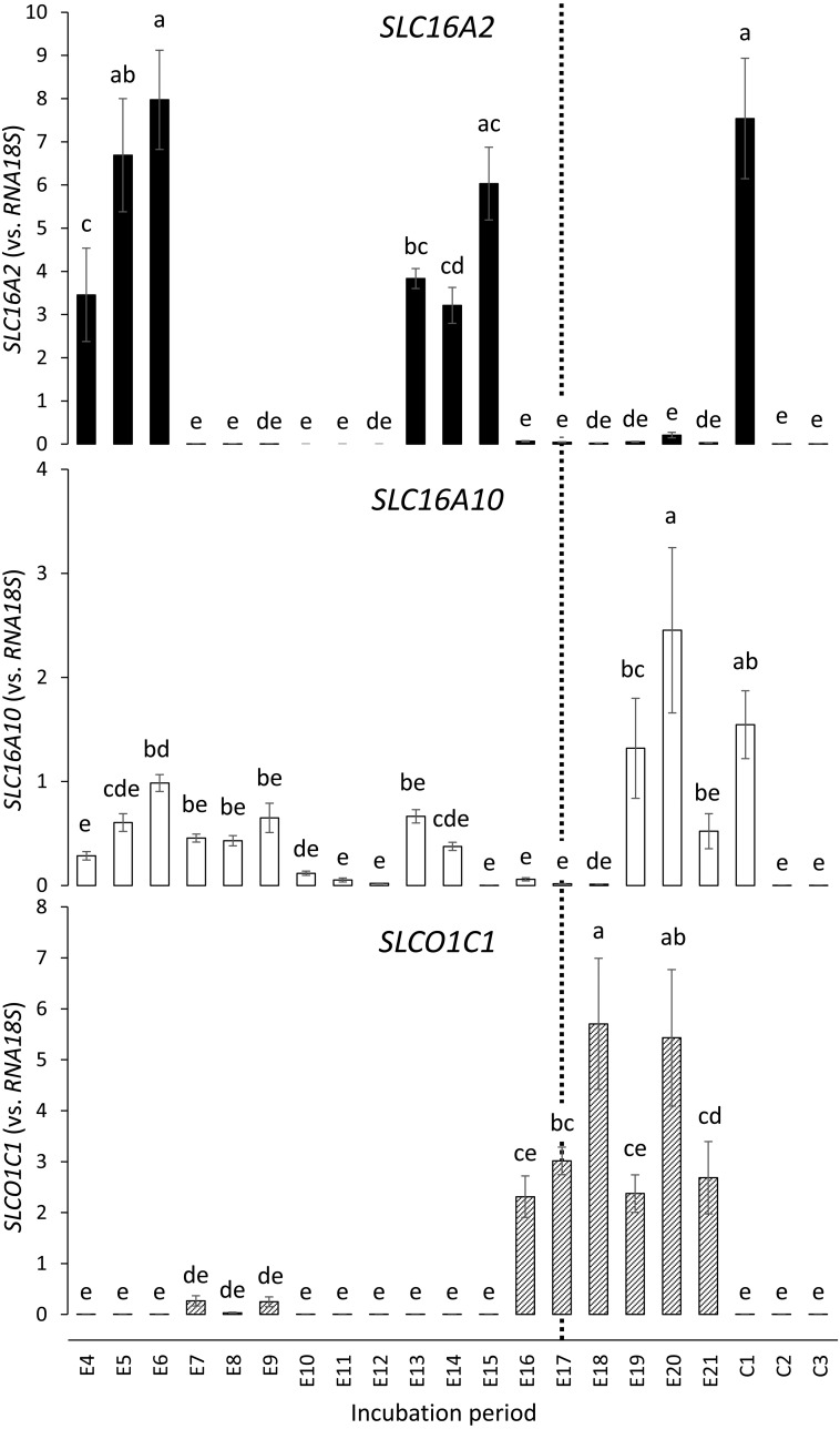 Fig. 5.