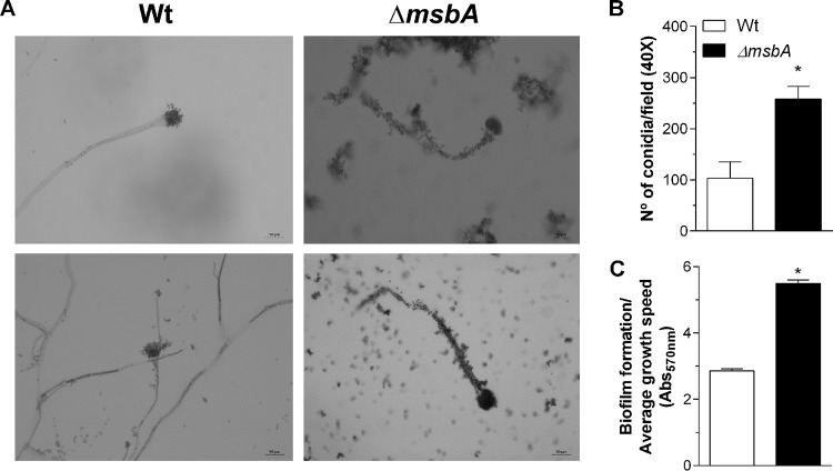 FIG 3