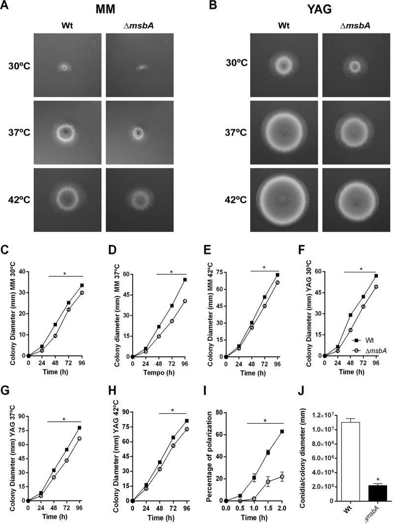 FIG 2