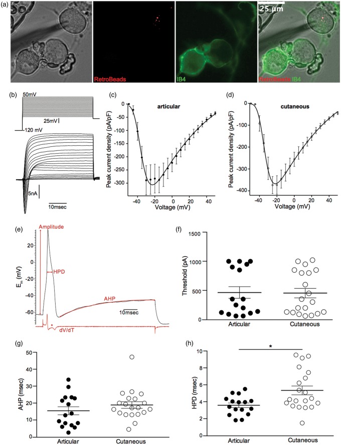 Figure 3.