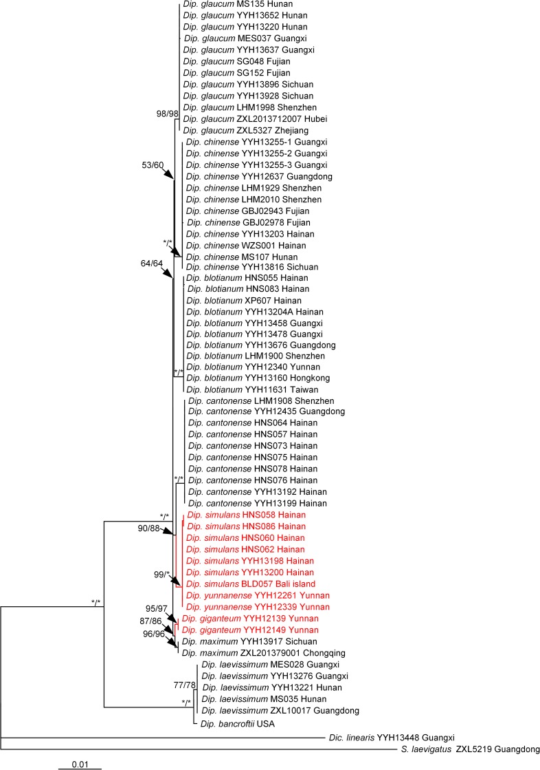 Fig 3