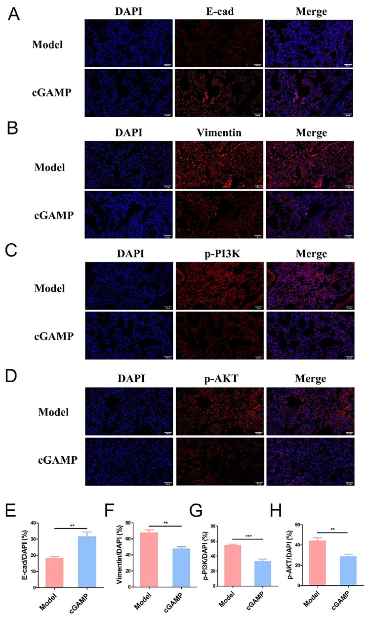 Figure 10.