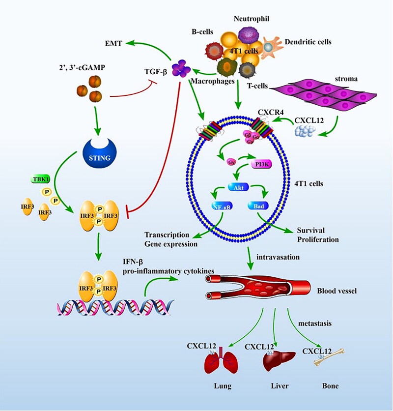 Figure 11.