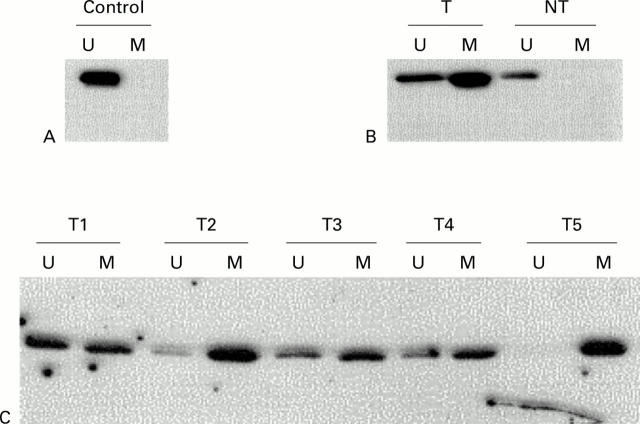 Figure 1  