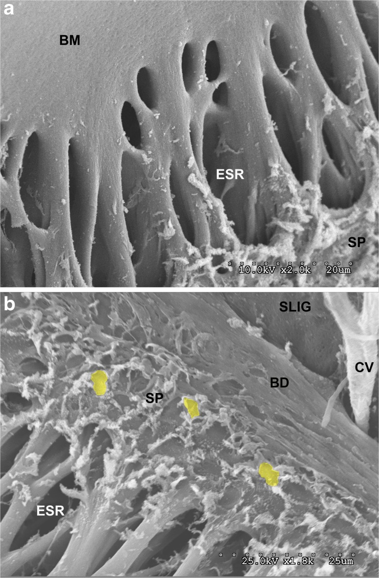 FIG. 7