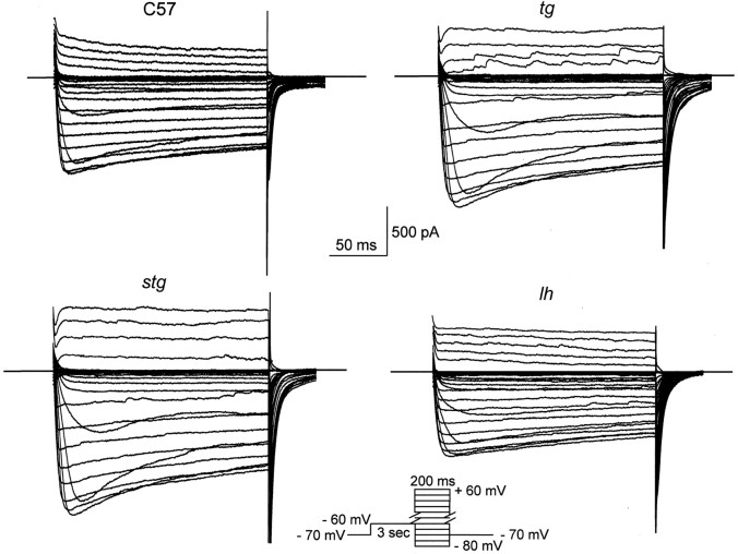 Fig. 4.