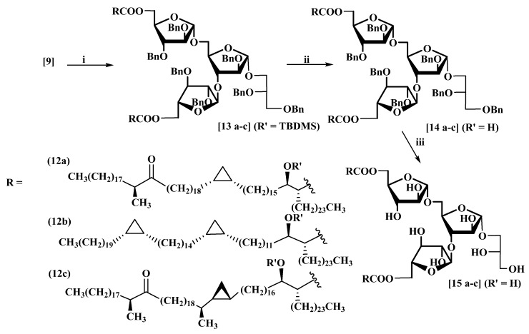 Scheme 5