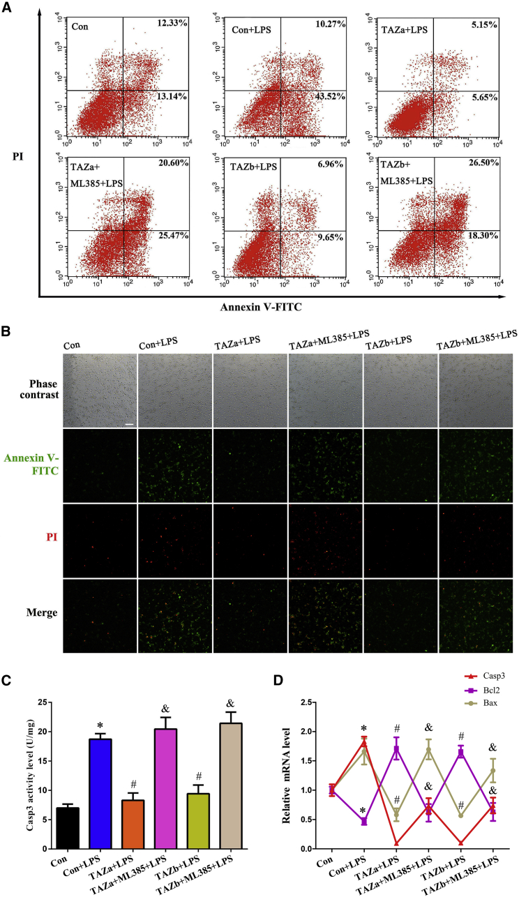 Figure 6