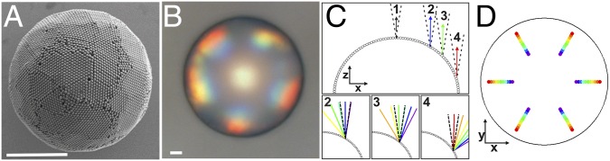 Fig. 4.