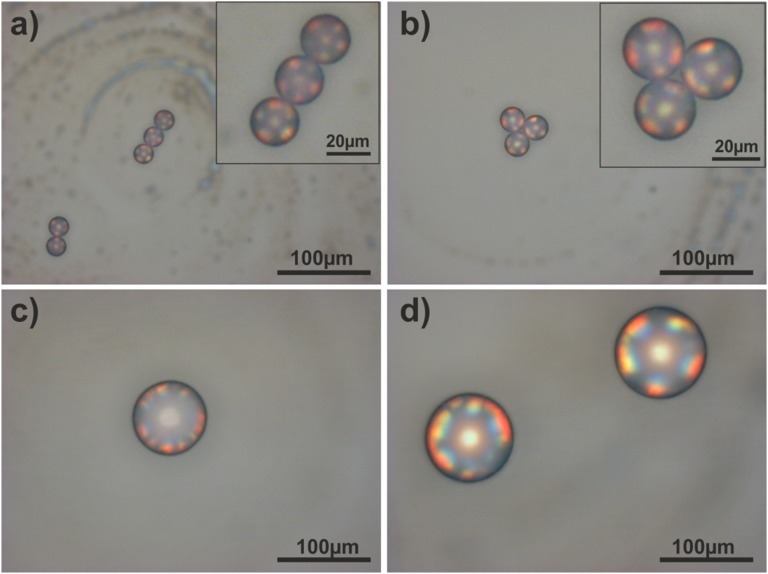 Fig. S7.