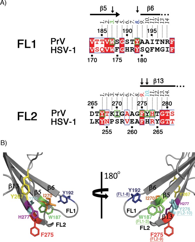 FIG 5