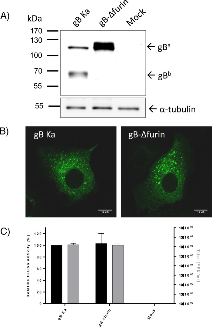 FIG 10