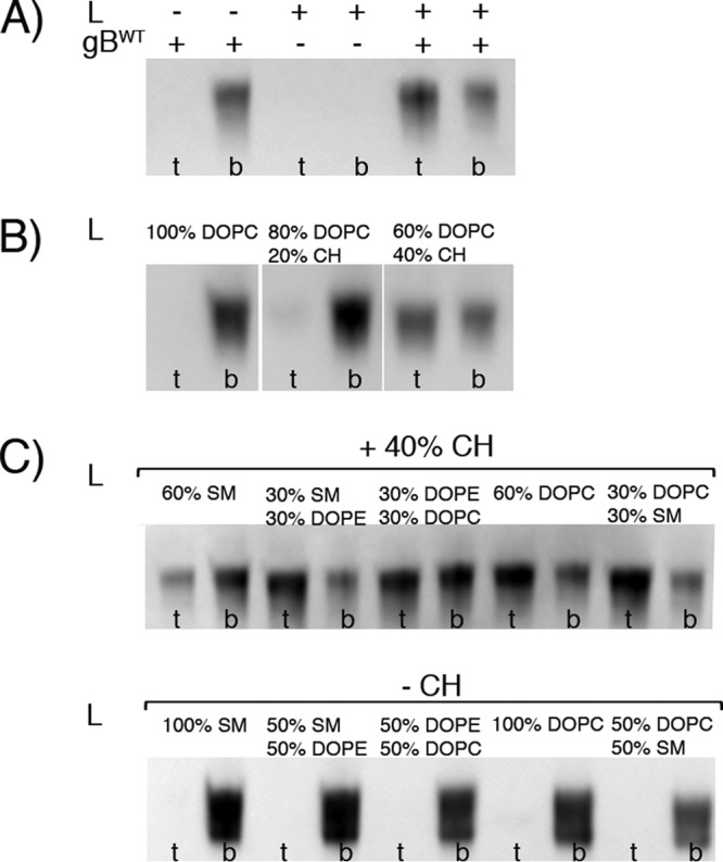 FIG 3