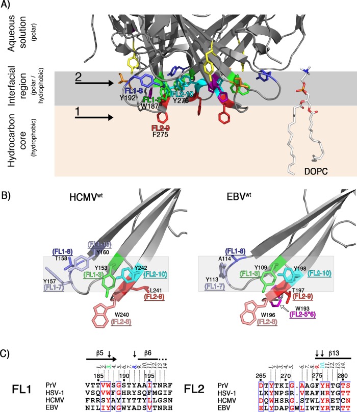 FIG 11