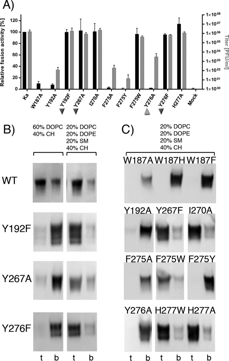 FIG 9