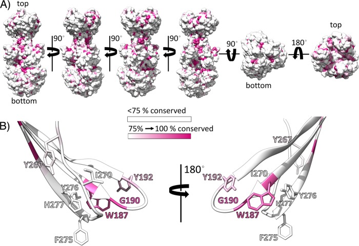 FIG 12