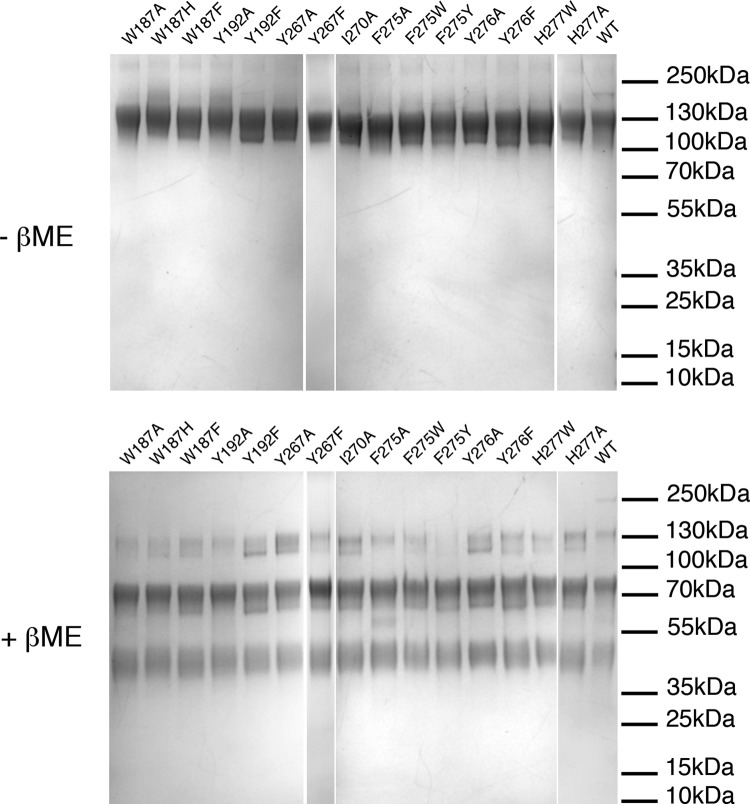 FIG 6