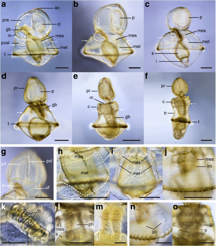 Fig. 10