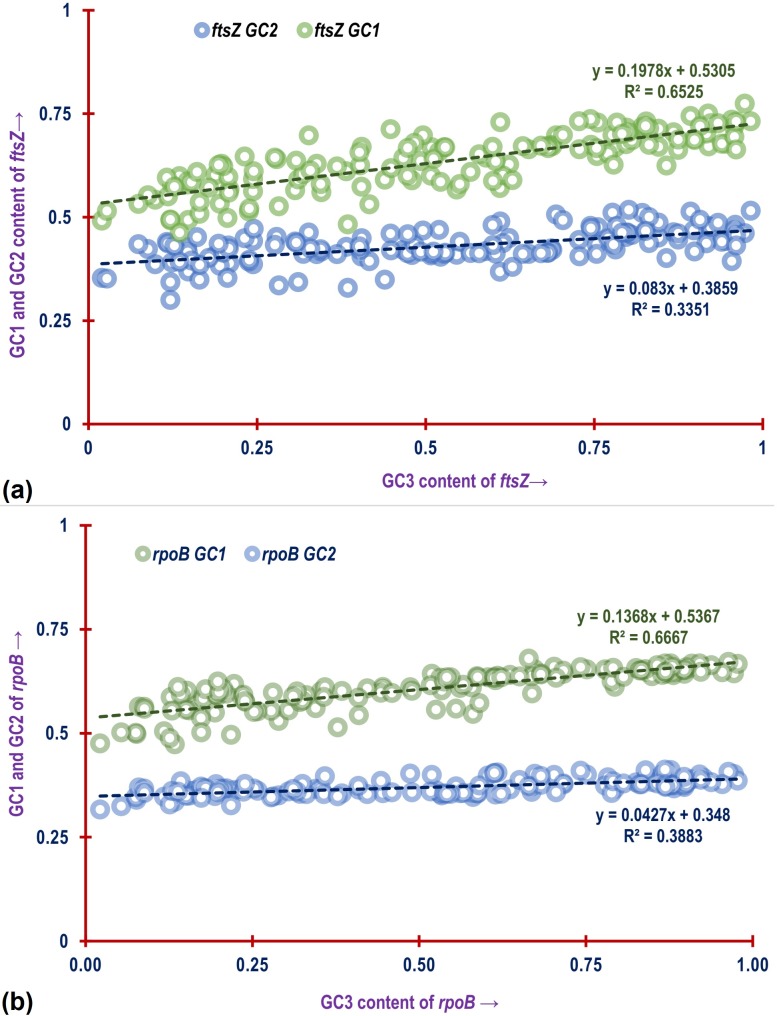 Fig 10