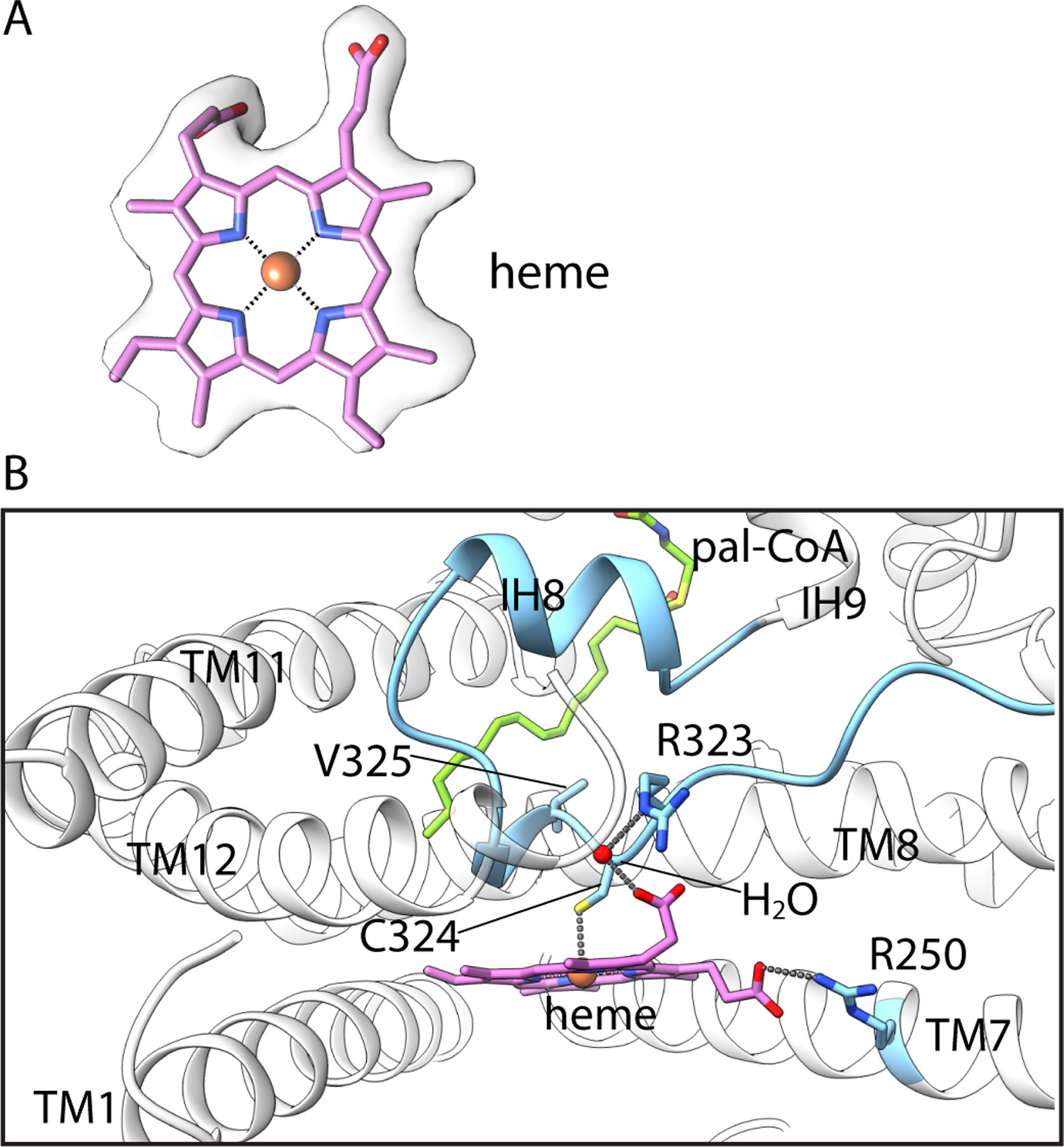 Fig. 3.