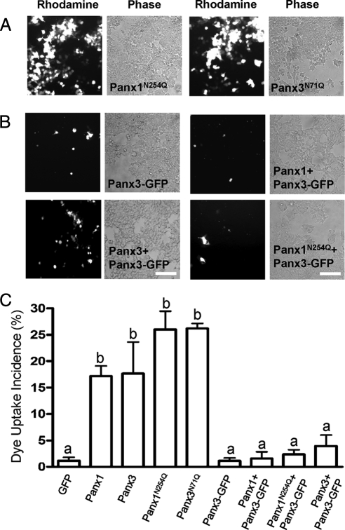 Figure 10.